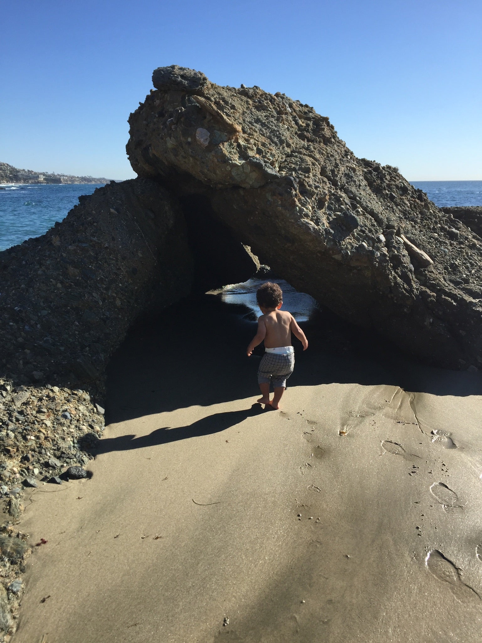 Exploring Tidepools with Kids