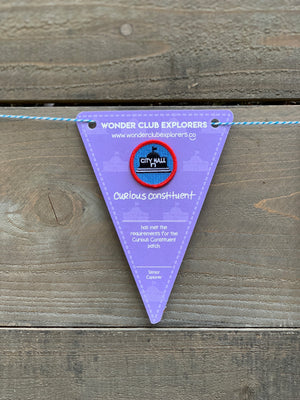 Curious Constituent Merit Patch & Pennant