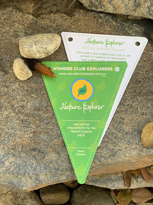 Nature Explorer Merit Patch & Activity Prompt